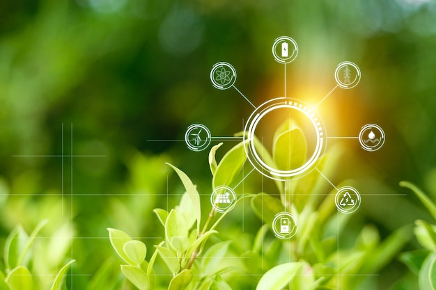 Conceito de energia sustentável e natureza